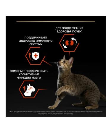 PRO PLAN Feed for cats for kidneys brain and immunity salmon salmon - Buy Online on GoSupps.com