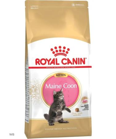 ROYAL CANIN Feed for kittens of the breed of Main Kun and other large rocks 2kg - Buy Online on GoSupps.com