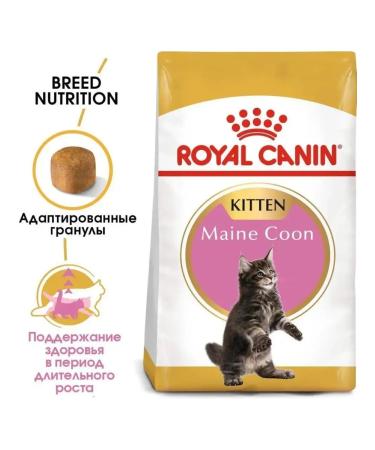 ROYAL CANIN Feed for kittens of the breed of Main Kun and other large rocks 2kg - Buy Online on GoSupps.com