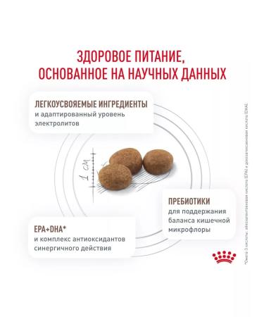 ROYAL CANIN Adult dog food for digestive disorders 3kg - Buy Online on GoSupps.com