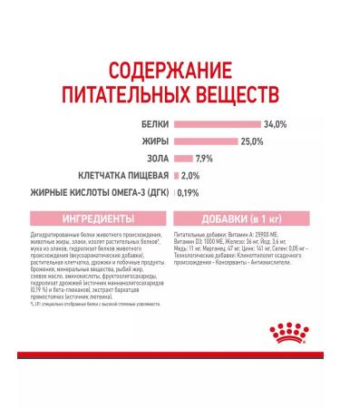 ROYAL CANIN Feed for kittens and cats during pregnancy 2kg - Buy Online on GoSupps.com