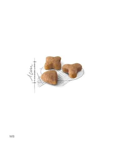 ROYAL CANIN Sensible chicken 2kg - Buy Online on GoSupps.com