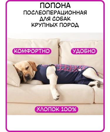 Best Golden Monkey Popon postoperative for dogs - Buy Online on GoSupps.com