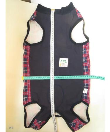 Best Golden Monkey Popon postoperative for dogs - Buy Online on GoSupps.com