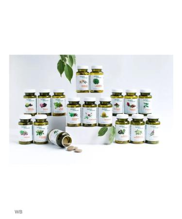 ALFIT Phytochai extract Levzea herbal collection - Buy Online on GoSupps.com