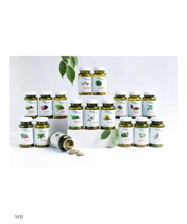 ALFIT Phytochai extract Levzea herbal collection - Buy Online on GoSupps.com