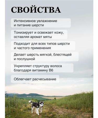 iv san bernard A profitable set of dog shampoo and mint extract mask - Buy Online on GoSupps.com