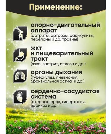 Golden Mountains Altai -purified Altai Mummy 60 tablets x 200 mg - Buy Online on GoSupps.com