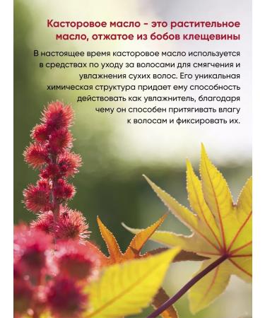 Zagotovki Shop Castor oil. Indian castor 500 ml - Buy Online on GoSupps.com