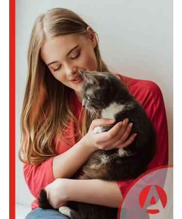 Apicenna Stop stress plus suspension for cats 30 ml - Buy Online on GoSupps.com