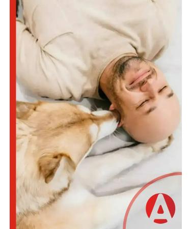 Apicenna Stop stress plus suspension for dogs - Buy Online on GoSupps.com