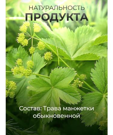 Honey and Jam Grass Cuff Herbal Herbal collection 25 g - Buy Online on GoSupps.com