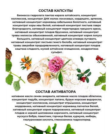 Sashera honey Chondroprotector Sustal capsules in the activator 3 pcs - Buy Online on GoSupps.com