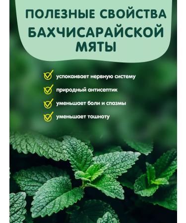 Herbs of the Crimean Mountains Tea in bags of mint grass 20 pcs our tea - Buy Online on GoSupps.com