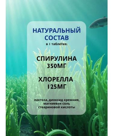 Russian superfood Spirulin and Chlorella tablets for detox and weight loss 200 pcs - Buy Online on GoSupps.com
