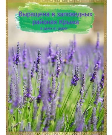 Premium lavender Lavender phytochai soothing herbal 200ml - Buy Online on GoSupps.com