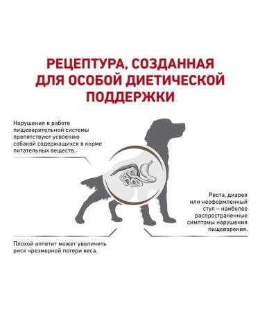 ROYAL CANIN Gastrointestinal 2 kg - Buy Online on GoSupps.com