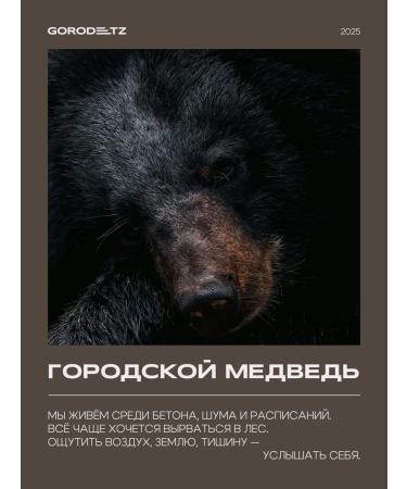 GORODETZ Male shampoo for hair Professional 1000ml - Buy Online on GoSupps.com