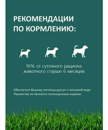 Titbit Monething with gut dogs beef mini - bank 3.3 l - Buy Online on GoSupps.com