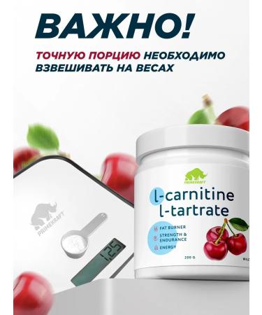 Prime Kraft Fat Fool L-carnitine L-Carnitine wild cherry 200 gr - Buy Online on GoSupps.com