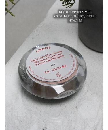 Pupa Luminys Silky Baked Powder Baked powder 01 light beige - Buy Online on GoSupps.com