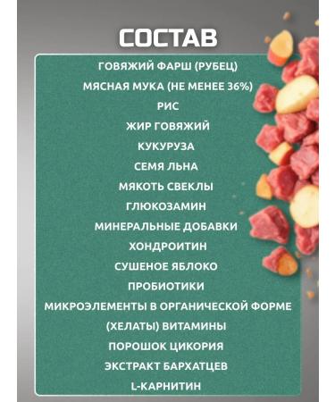 Bisco junior for large breed puppies - Buy Online on GoSupps.com