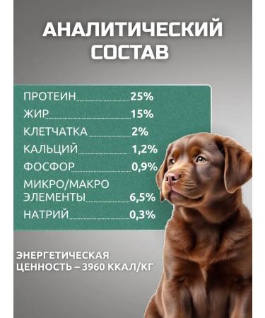 Bisco junior for large breed puppies - Buy Online on GoSupps.com