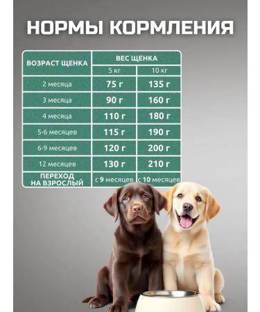 Bisco junior for large breed puppies - Buy Online on GoSupps.com