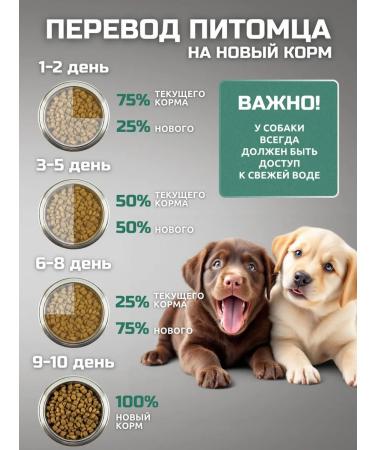 Bisco junior for large breed puppies - Buy Online on GoSupps.com