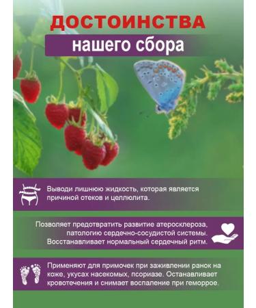 Wild berry Raspberry sheet dried collection of herbal - Buy Online on GoSupps.com