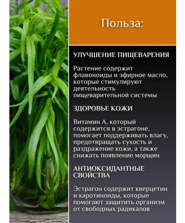 PaprikaCinnamon Substone dried Tarhun - Buy Online on GoSupps.com