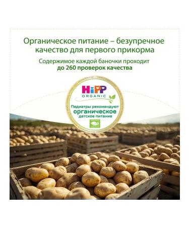 Hipp Vegetable "potatoes" from 4 months 6x80g - Buy Online on GoSupps.com