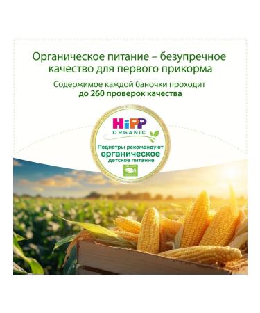 Hipp Vegetable "corn" from 5 months 6x80g - Buy Online on GoSupps.com