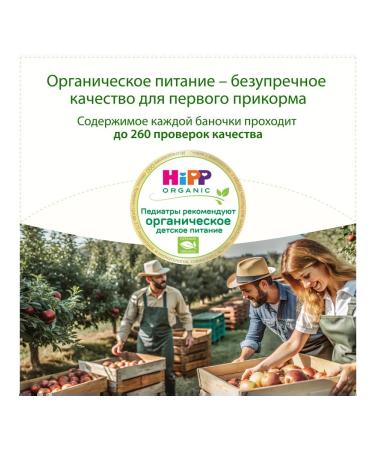 Hipp Fruit "apple" from 4 months 6x80g - Buy Online on GoSupps.com