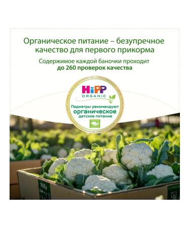 Hipp Vegetable "color cabbage" from 4 months 6x80g - Buy Online on GoSupps.com