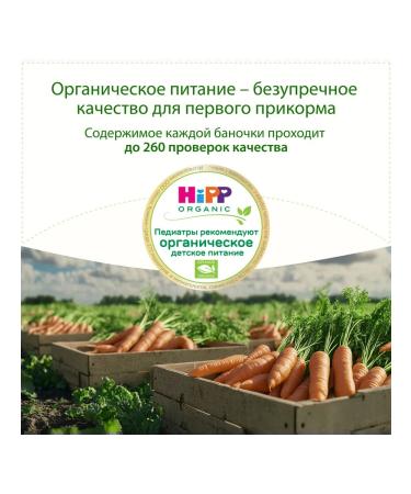 Hipp Vegetable "carrots" from 4 months 6x80g - Buy Online on GoSupps.com