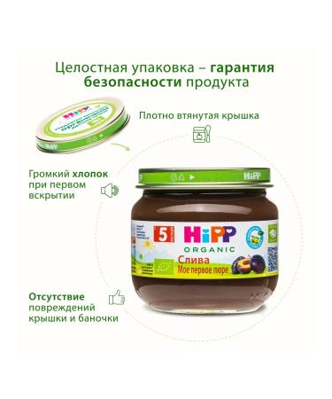 Hipp Fruit puree "plum" from 5 months 6x80g - Buy Online on GoSupps.com