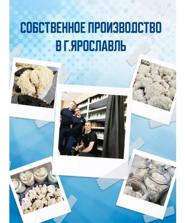 YAGRIB Ezhovik crested mycelium 100 g - Buy Online on GoSupps.com