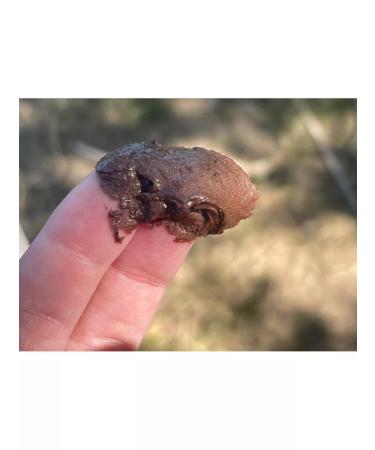 VELINIA Chocolate cream-scrub 250 ml - Buy Online on GoSupps.com