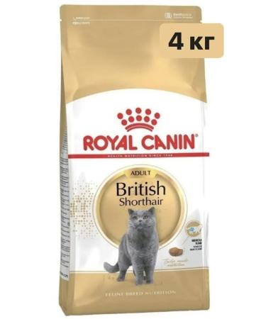 ROYAL CANIN Dry food British 4kg