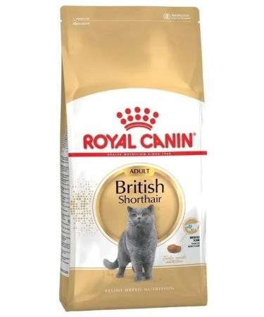 ROYAL CANIN Dry food British 4kg - Buy Online on GoSupps.com