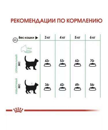 ROYAL CANIN Digestive 4kg cat food - Buy Online on GoSupps.com