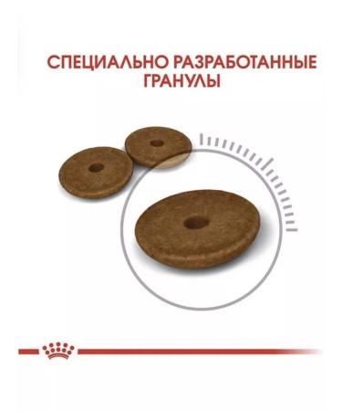 ROYAL CANIN Digestive 4kg cat food - Buy Online on GoSupps.com