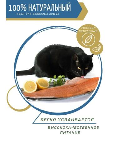 PUFFINS Cat food chicken fish 10 kg - Buy Online on GoSupps.com