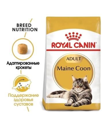 ROYAL CANIN Dry Main Coon 2kg 4kg - Buy Online on GoSupps.com