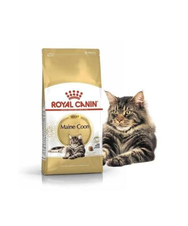 ROYAL CANIN Dry Main Coon 2kg 4kg - Buy Online on GoSupps.com