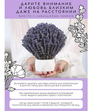 Lavender Castle Lavender - Buy Online on GoSupps.com