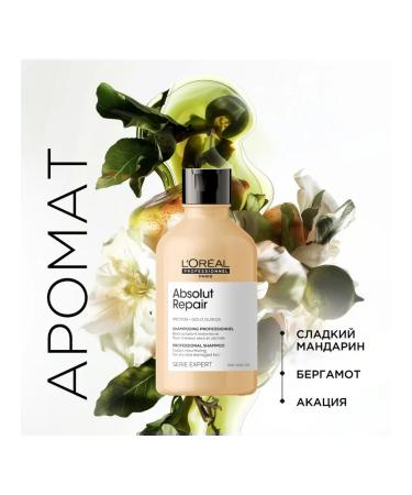 L'Oreal Professionnel Strengthening shampoo for hair restoration Absolut Repair - Buy Online on GoSupps.com