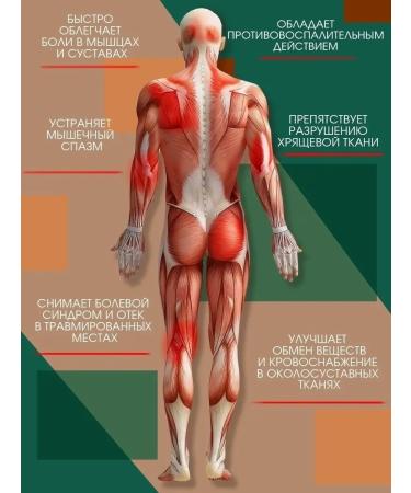 Nica Cosmetics Hel -gel joints in joints and muscles - Buy Online on GoSupps.com