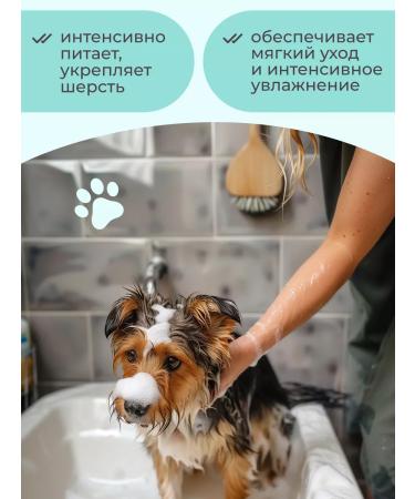 King Cosmetic Shampoo for dogs and cats Professional concentrate - Buy Online on GoSupps.com